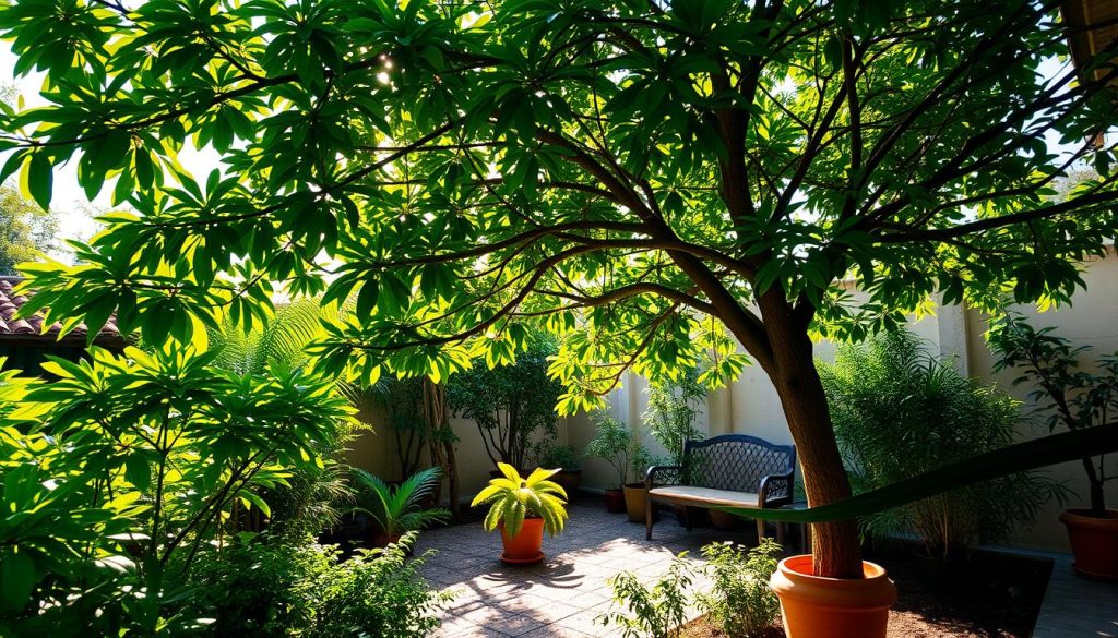 A lush, verdant garden with a small tree canopy providing ample shade. The foreground showcases a variety of thriving potted plants, their leaves gently swaying in the warm breeze. The midground features a tranquil seating area, inviting the viewer to rest and appreciate the peaceful ambiance. Sunlight filters through the branches, casting a soft, golden glow and creating dynamic shadows on the ground. The background hints at the boundaries of the compact garden, emphasizing the efficient use of space. An overall sense of harmony and productivity radiates from this idyllic scene, capturing the benefits of cultivating trees in a small outdoor oasis.